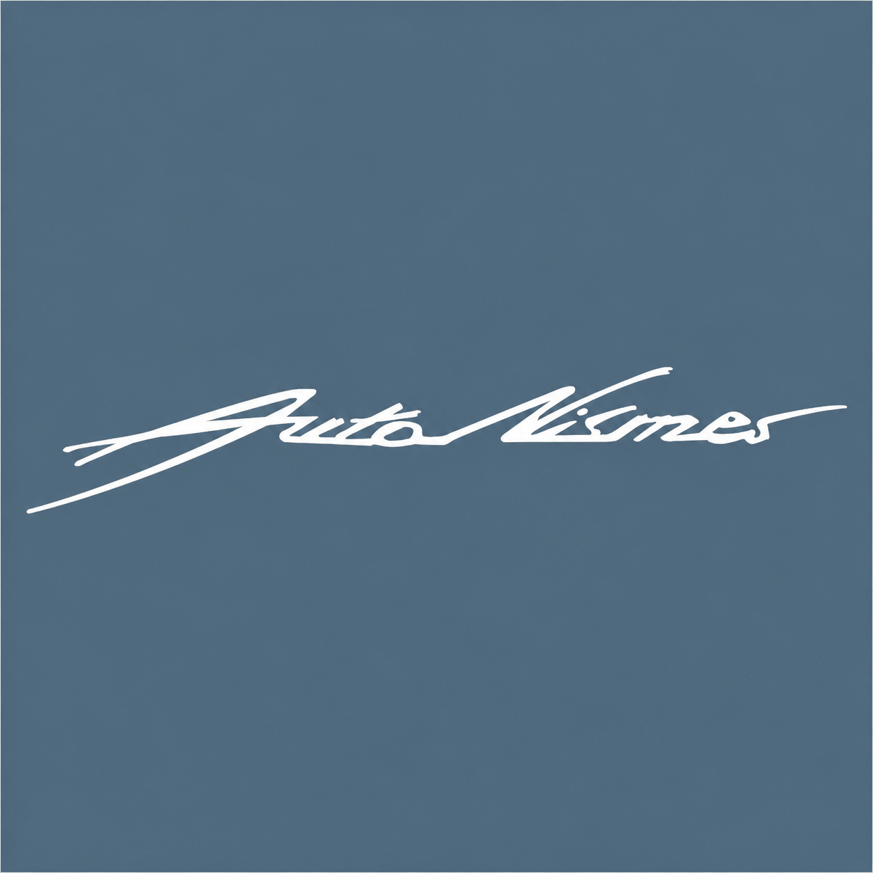 Logo AutoNismes, garage à Nismes (Viroinval)